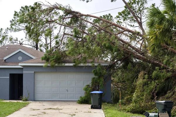 Fast solutions for Tree on Garage Emergency problems
