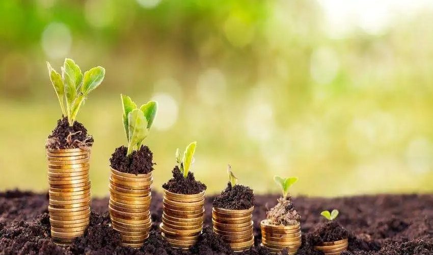 Understanding Mutual Fund Analysis Tools and Key Evaluation Metrics