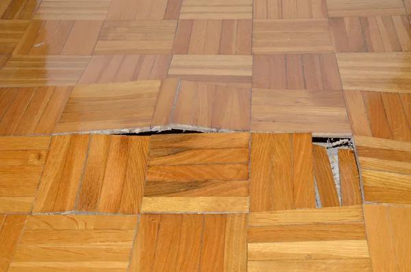 Water Damage Restoration Services in Mesa