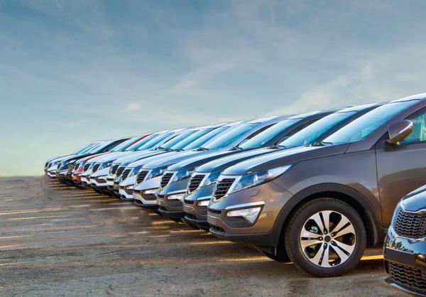 Exploring Vehicle Options at a Local Car Dealership in Newton